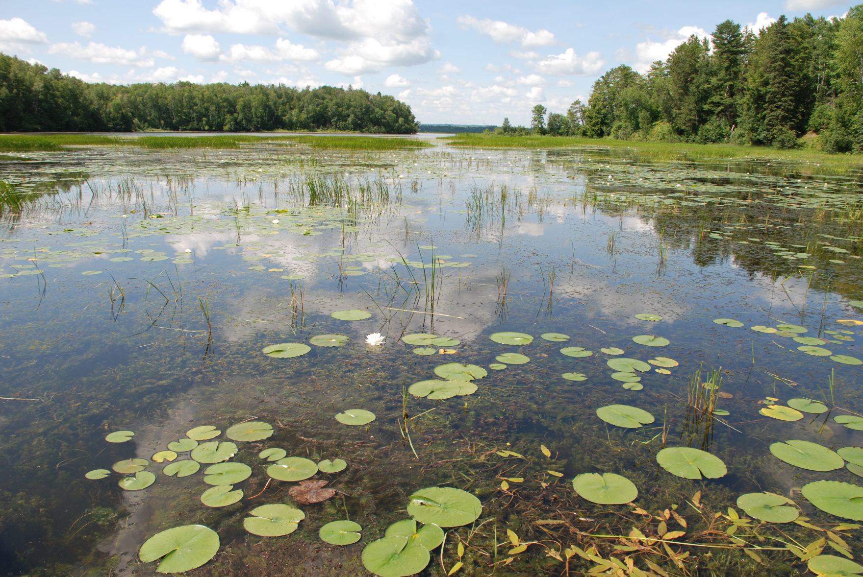 Pokegama Bay